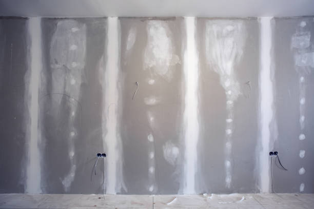 Best Drywall Texturing  in USA